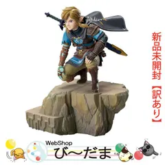 2025年最新】ゼルダの伝説 ティアーズ オブ ザ キングダム 未