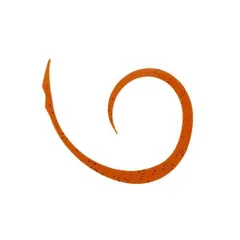 jackall ジャッカル JK ビンビンスイッチT+ネクタイマイクロカーリースリム ＃コーラ