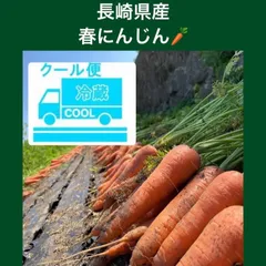 春人参　訳あり10キロ  【クール便】のサムネイル