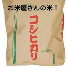 米屋のお米 つくば産コシヒカリ 5キロ 新米 精米済み