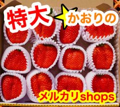 メルカリshop 特大いちご ★大好評★新鮮朝採り