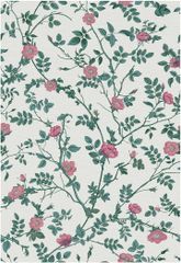 Item thumbnail for item 0debc8d5-0856-4d97-a483-62b84853c931