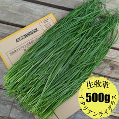 Item thumbnail for item f917842a-e0ad-4c65-9476-9867357d59cb