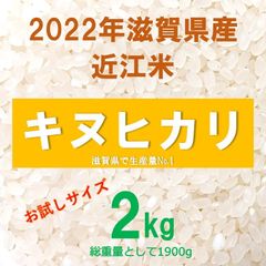 2022年滋賀県産 近江米 キヌヒカリ 1920g 精米いたします！