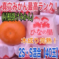 定番人気低価30分またまたきたーー‼️本気だします‼️ひなの里、JAまどんな、日の丸みかん 果物