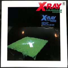 K172【12インチ】X-RAY Human Dog