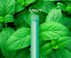 【新品発売】ミント　光るシーシャ　カジュアル WINX WINXJAPAN 手持ちシーシャ シーシャ ベイプ 使い捨て 800回吸引 化学分析証明証発行済 大容量 禁煙グッズ ウインクス　ウインクスジャパン 爆煙 フレーバースティック ニコチンなし タールなし