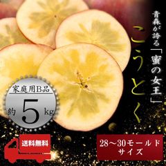 青森県産 ＂ こうとく ( 高徳 ) ＂ りんご【ご家庭用B品5kg】【送料無料】【産地直送】リンゴ 林檎