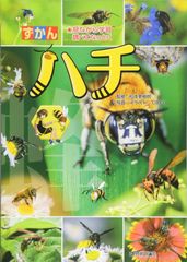 今週末だけ値下げ〜 ☆訳あり 竹製虫籠入り鈴虫 ハスキーな鳴き声