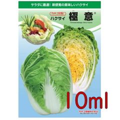 カネコ種苗　極意　白菜　１０ｍｌ