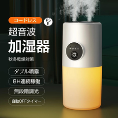 車用加湿器 卓上加湿器 ミニ加湿器 充電式 2/8h自動OFFタイマー 水溶性アロマ対応 ダブル噴霧 ミスト 超音波式 連続加湿 マイナスイオン 次亜塩素酸水対応 静音