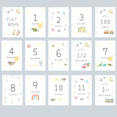 お名前カード付きꕤ* マンスリーカード　はがきサイズ　Baby☽:ﾟboy