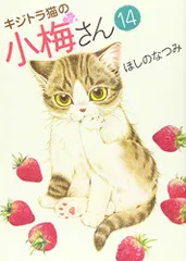 キジトラ猫の小梅さん 14巻 (ねこぱんちコミックス)／ほしの なつみ