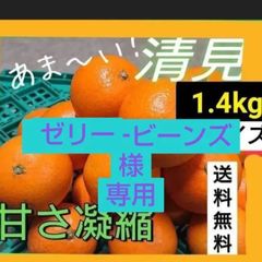 清美　1.4キロ　和歌山県　マルマ農園のサムネイル
