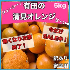 有田の清見オレンジ　5kg