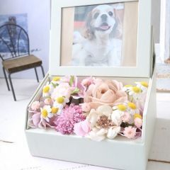 虹の橋を渡ったあの子へ 花と過ごすメモリアルフレーム　ペットロス　お悔み　お供え　572