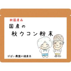 国産 秋ウコン粉末 100g【がばい農園公式】