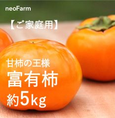☆岐阜県大野町産 『甘柿の王様』 富有柿 ご家庭用☆