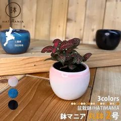 2026年最新】植木鉢 盆栽鉢 山野草鉢の人気アイテム - メルカリ