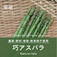 アスパラガス 熊本県の検索結果