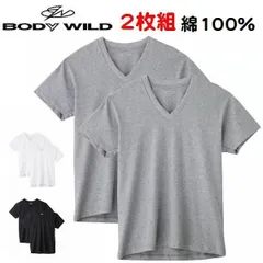 2枚組 Ｔシャツ 半袖 V首 ボディワイルド 無地 カラー 紳士 メンズ 綿100％ 抗菌防臭加工 グンゼ おすすめ BW5015 5025