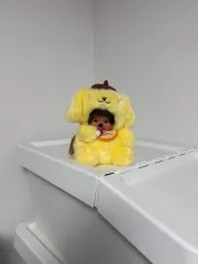 希少　モンチッチ　ポムポムプリン　サンリオ　ぬいぐるみ　コスチューム　コラボ レア モンチッチ & サンリオ ポムポムプリン ぬいぐるみ - メルカリ