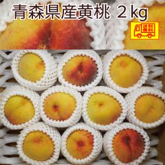 クール冷蔵便　青森県産　訳あり　黄桃　7-15玉　2ｋｇ