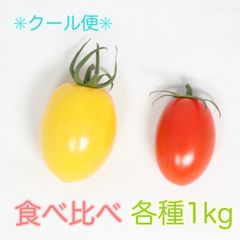 【甘い高級トマト】高糖度フルーツミニトマト　食べ比べ　各種1kg［クール便］