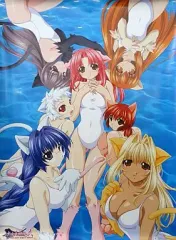 【中古】ポスター(アニメ) ポスター 「PS2ソフト 少女義経伝・弐~刻を超える契り~」 予約特典