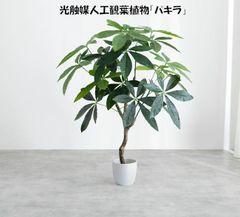 送料無料光触媒 人工観葉植物パキラ 高さ150 フェイクグリーン 新品 