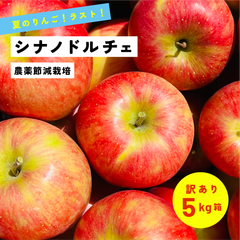 9月16日から9月31日まで発送 指定日不可 「ドルチェ5キロ箱訳あり品」農林水産大臣賞 長野県産 安曇野 信州産 産地直送
