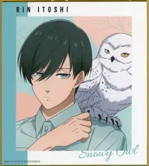 【中古】紙製品 糸師凛(アップ) 「ブルーロック×東武動物公園 描き下ろしイラスト 飼育係ver. トレーディングミニ色紙」