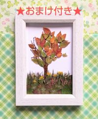 メルカリshops 押し花 額付き おまけ付き 一点物 落ち葉 紅葉 自然 アート インテリア