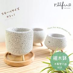 〚 スモール植木鉢 + 木製受け皿付き 〛軽い鉢 塊根植物　コーデックス　観葉植物