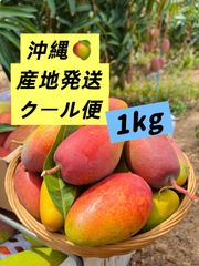クール便　宮崎マンゴーの暴れ食い　1700gあっぷ クール便 宮崎マンゴーの暴れ食い 1700gあっぷ - メルカリ