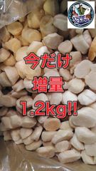 チャーンス💥なまら安い‼️北海道産加熱用ホタテ貝柱約1.2kg