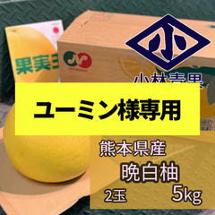 【ユーミン様専用】熊本県産　晩白柚　5kg（2玉） ばんぺいゆ　バンペイユ