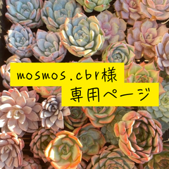 mosmos.cbr様　専用ページ