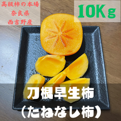刀根早生柿（たねなし柿・合わせ柿）【家庭用】10kg