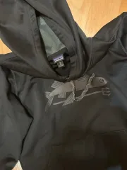 パタゴニアンフライングフィッシュフーディー