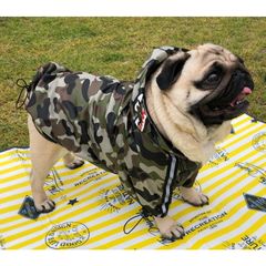新品 犬用 ちくわちゃん迷彩レイン ウインドブレーカータイプ