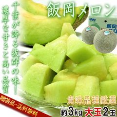 飯岡メロン 青肉タカミメロン 約3kg 2玉入り 千葉県産 大玉限定 贈答品 JA千葉みどり共撰 秀品～特秀品 貴味メロンを厳選した特産品！高糖度のギフトフルーツ