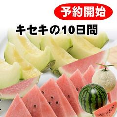 【予約受付中　8/5〜8/10出荷限定】八色産小玉すいか×タカミメロン|新潟県魚沼地方限定