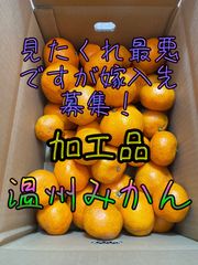 温州みかん　加工品　箱込み5Kg.