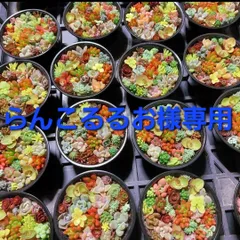 らんこるるお様専用