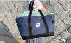 レジカゴ用バッグ エコバッグ　保温保冷ショッピングバッグ折りたたみ袋　ブルー