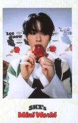 StrayKids POB LeeKnow 2023 Seasons Greeting 白