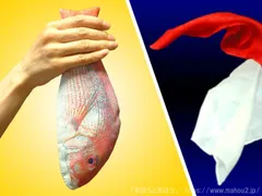 めで鯛！マジック（手品道具・マジック用品）お正月・結婚式・お祝いのイベントに！