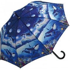 Item thumbnail for item d8454f3e-fe31-4bfe-876b-c890b698ed7f