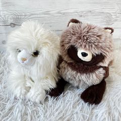 新月灯花 月 アルバム CD THE NEWS ME-ISM 山崎優子 - メルカリ